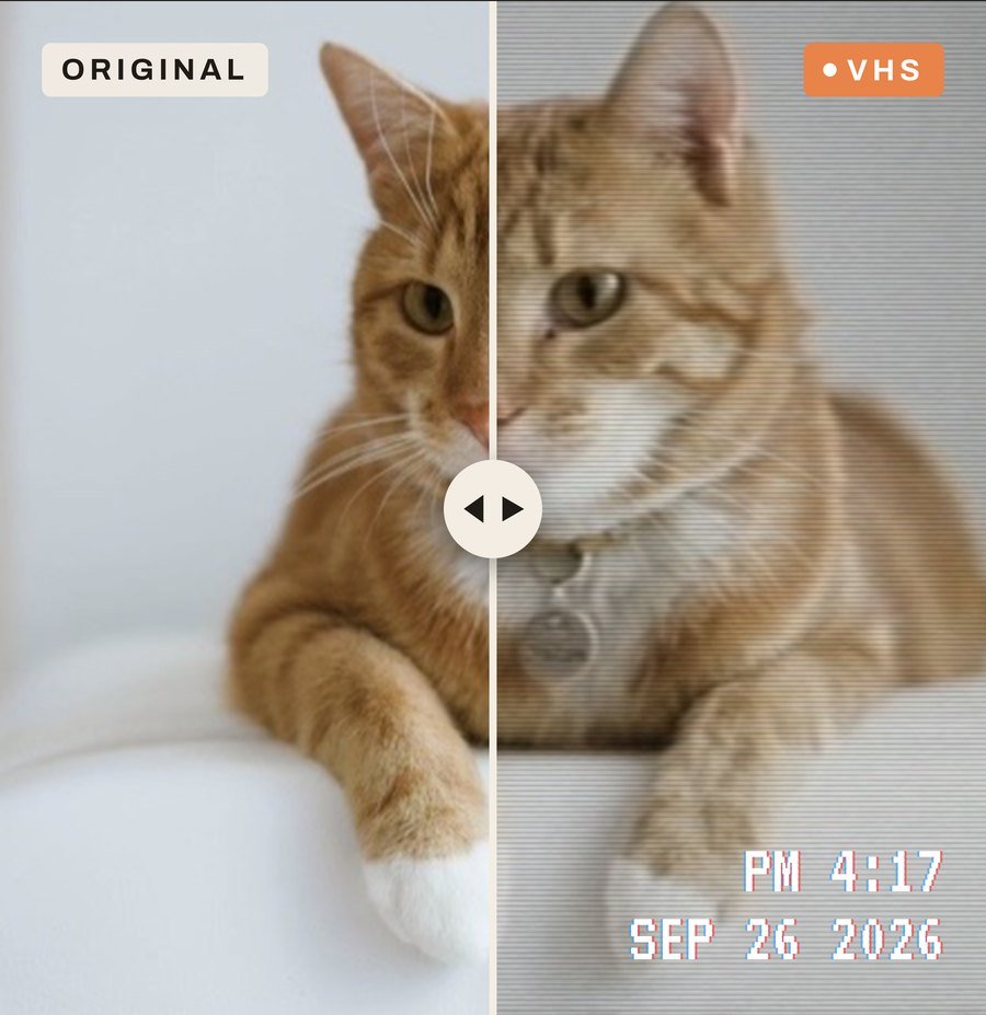 A cat video split down the middle: the original on the left, and the VHS version on the right with scanlines, softer color and a PM 4:17 date stamp.